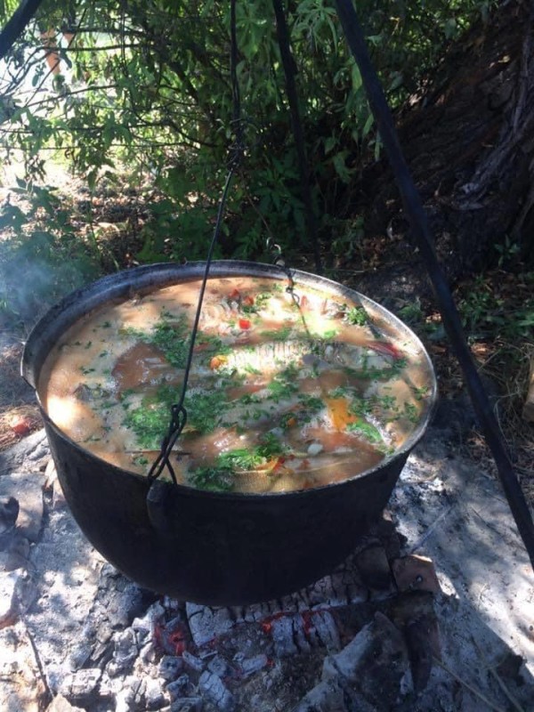 Fotografie oferta cazare Delta Dunarii