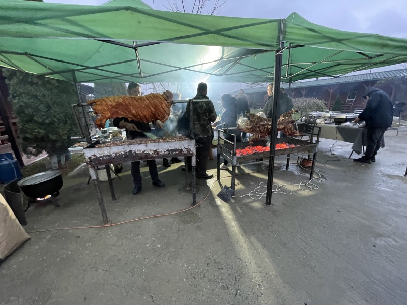 Fotografie oferta cazare Delta Dunarii